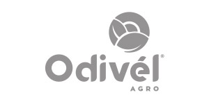 Logo cliente Like